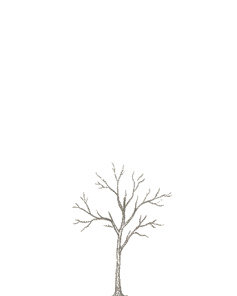 A young growing tree